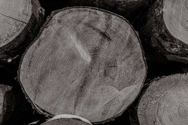 ahşap doku arka plan, ahşap desen