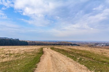 Ağaçlar ve mavi gökyüzü olan güzel bir manzara.