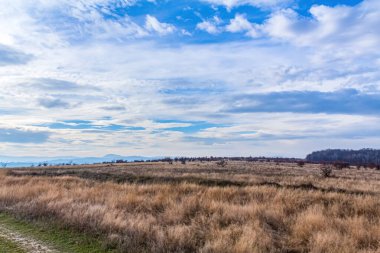 Sonbaharda mavi bulutlu gökyüzü ile kuru bir çimen tarlası.