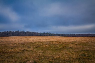 Çimen ve mavi gökyüzü olan sonbahar manzarası