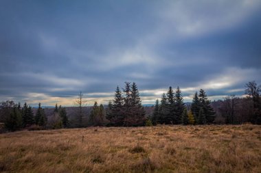 Dağlarda bir ağaçla sonbahar manzarası. Karpatlar 'ın dağları. ukraine.