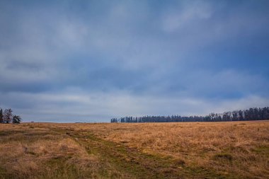 Ormanda tarlası olan güzel kış manzarası.