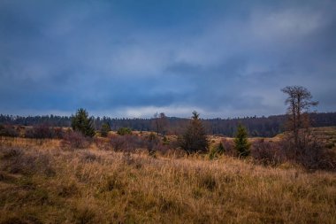 Dağlarda sonbahar ormanı