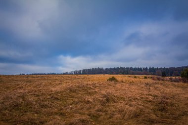 Buğday tarlası ve bulutlu gökyüzü olan güzel bir manzara.