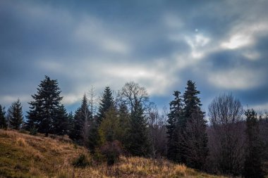 Ağaçlı ve bulutlu güzel sonbahar manzarası