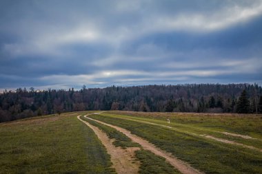 Sonbaharda yeşil alanda güzel gün batımı