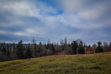 Romanya 'nın Karpat Dağları' ndaki sonbahar manzarası.