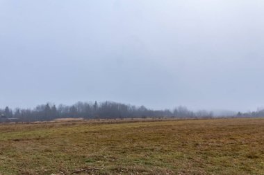 Ağaçlarla dolu bir tarlası ve bulutlu bir gökyüzü olan güzel bir manzara.
