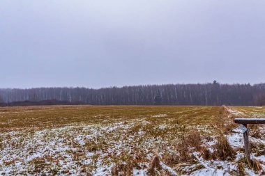 Kışın güzel bir ahşap ev manzarası.