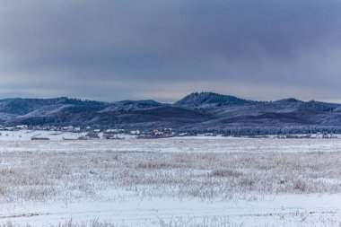Karla kaplı ağaçlarla kaplı kış manzarası