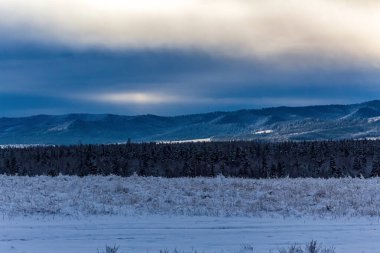 Kışın karla kaplı ağaçlarla kaplı güzel bir manzara.