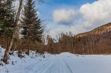 Karla kaplı güzel kış manzarası - ormandaki dağlarla kaplı