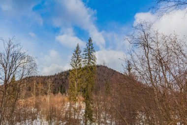 Karlı ve dağlı güzel bir manzara.