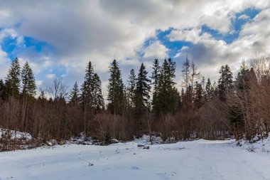 Dağlarda kış manzarası