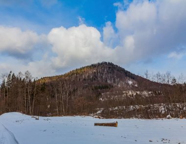 Karla kaplı ağaçlarla kaplı kış manzarası