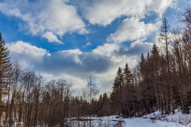 Güzel karlı dağ manzarası. yüksek kaliteli fotoğraf