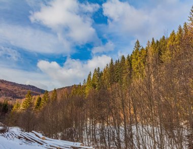 Ağaçlı ve karlı güzel bir manzara.