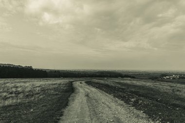 Landscapes, Forest, Carpathians, Photos of nature -Black and white photos, monochrome photos - Europe, Eastern Europe