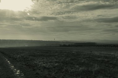 Landscapes, Forest, Carpathians, Photos of nature -Black and white photos, monochrome photos - Europe, Eastern Europe