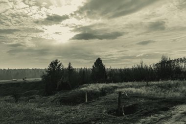 Landscapes, Forest, Carpathians, Photos of nature -Black and white photos, monochrome photos - Europe, Eastern Europe