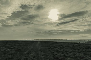 Landscapes, Forest, Carpathians, Photos of nature -Black and white photos, monochrome photos - Europe, Eastern Europe