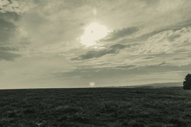 Landscapes, Forest, Carpathians, Photos of nature -Black and white photos, monochrome photos - Europe, Eastern Europe