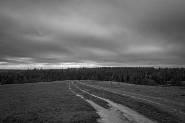 Landscapes, Forest, Carpathians, Photos of nature -Black and white photos, monochrome photos - Europe, Eastern Europe