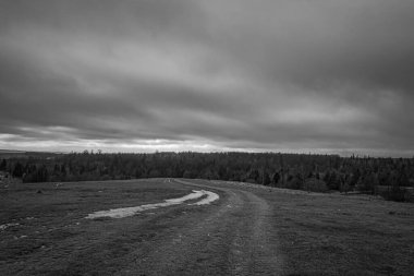 Landscapes, Forest, Carpathians, Photos of nature -Black and white photos, monochrome photos - Europe, Eastern Europe