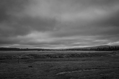 Landscapes, Forest, Carpathians, Photos of nature -Black and white photos, monochrome photos - Europe, Eastern Europe