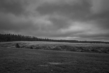 Landscapes, Forest, Carpathians, Photos of nature -Black and white photos, monochrome photos - Europe, Eastern Europe