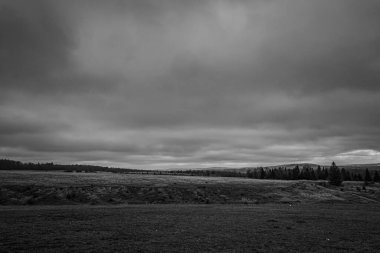 Landscapes, Forest, Carpathians, Photos of nature -Black and white photos, monochrome photos - Europe, Eastern Europe