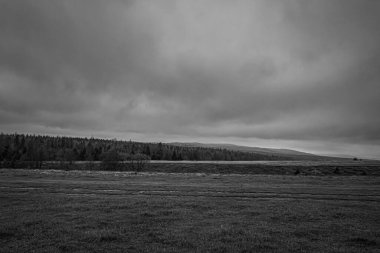 Landscapes, Forest, Carpathians, Photos of nature -Black and white photos, monochrome photos - Europe, Eastern Europe