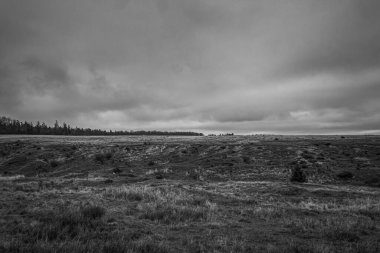 Landscapes, Forest, Carpathians, Photos of nature -Black and white photos, monochrome photos - Europe, Eastern Europe