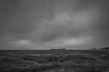 Landscapes, Forest, Carpathians, Photos of nature -Black and white photos, monochrome photos - Europe, Eastern Europe