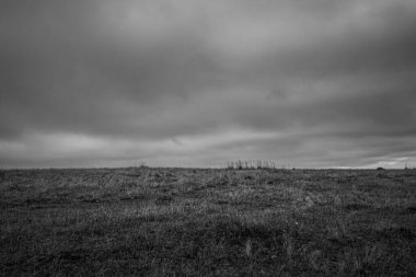 Landscapes, Forest, Carpathians, Photos of nature -Black and white photos, monochrome photos - Europe, Eastern Europe