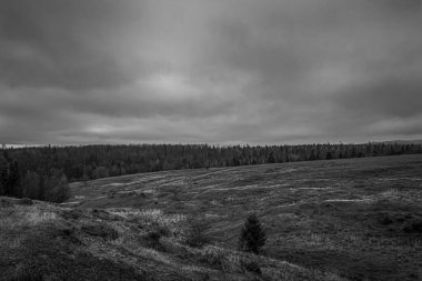 Landscapes, Forest, Carpathians, Photos of nature -Black and white photos, monochrome photos - Europe, Eastern Europe