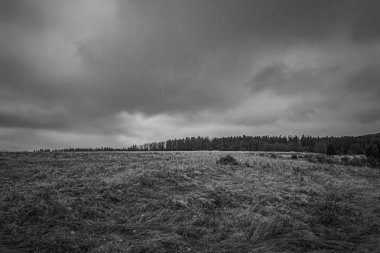 Bulutlu gökyüzü ile güzel bir tarla görüntüsü