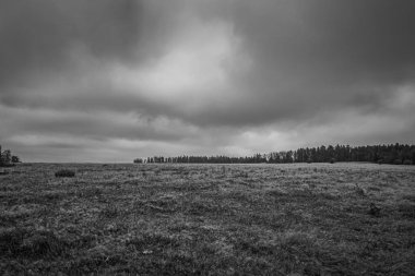 Beyaz ve siyah bulutlar kırsal kesimdeki bir ağacın üzerinde, Letonya.