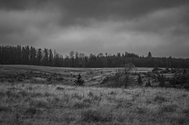 Tarlada kara bulutlar ve fırtına bulutları