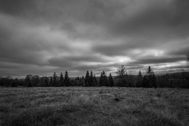 Tarlanın üzerinde kara fırtına bulutları