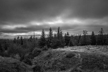 güzel siyah beyaz manzara