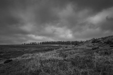 black and white landscape of the mountains