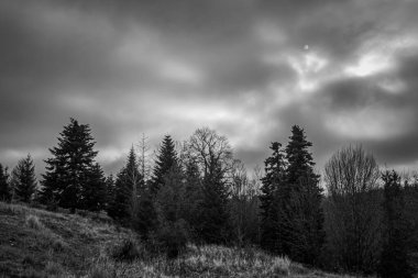 Sonbaharda Karpat Dağları 'nda siyah ve beyaz manzara