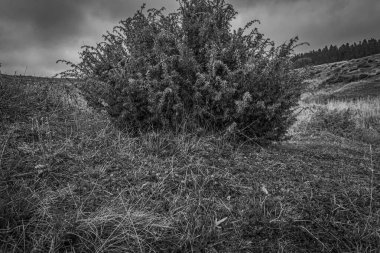 Dağ sırası olan güzel bir manzara.