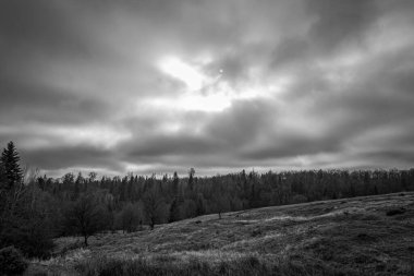 Dağlardaki bir ormanın siyah beyaz fotoğrafı