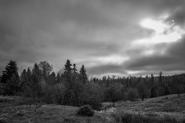 Karpat Dağları 'ndaki bir dağ manzarasının siyah beyaz fotoğrafı