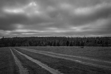 Ormandaki kara bulutlar