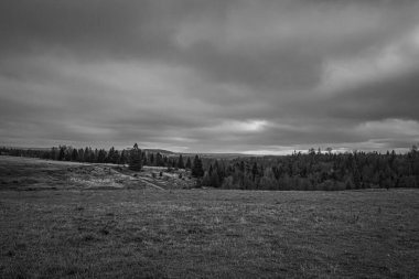 Bir dağ ormanının arka planında siyah ve beyaz bulutlar