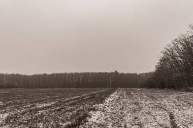 Uzakta kar ve tarla ile kırsal kış manzarası