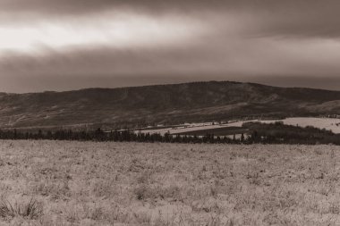 Buğday tarlası ve bulutlu gökyüzü olan güzel bir manzara.